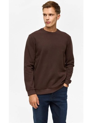 Süvari Koyu Kahve Regular Düz Bisiklet Yaka Sweatshirt