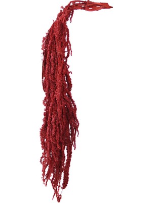 Dekorsende Şoklanmış Amarantus (Amaranthus) Demet Bordo 100 cm