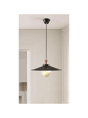 Rsylight Dylight Retro Metal Sarkıt Avize Rustik Tekli Sarkıt Siyah Cafe Mutfak Aydınlatma 40 cm
