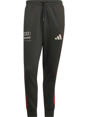 Adidas Erkek Eşofman Altı Au Dna Pnt M KE6783