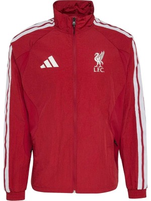 Adidas Erkek Ceket Lfc H Anth KV6736