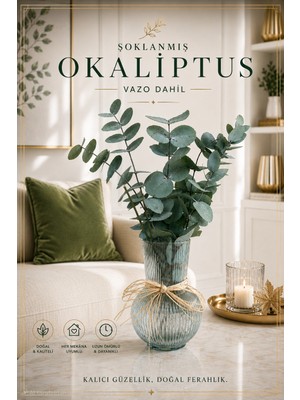 Nc Design Concept Şoklanmış Okaliptus Demeti Vazo Dahil – Dekoratif Ev Hediyesi, Kurutulmuş Okaliptus Dalı, Salon ve Ofis Dekoru