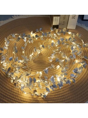 VeraGlobe Buğz 3 Metre Yaldızlı Gümüş LED Işık – Dekoratif Ortam ve Aydınlatması