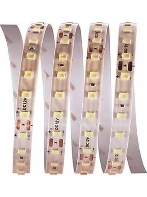 Fun And Market Buğz 5 Metre Cata Ct 4540 Iç Mekan 12V 120 Ledli Şerit LED 6500K Beyaz Işık