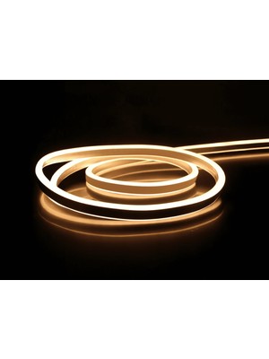 Fun And Market Buğz 5 Metre Noas YL42 0122 Dış Mekan 12V Gün Işığı Neon Hortum LED
