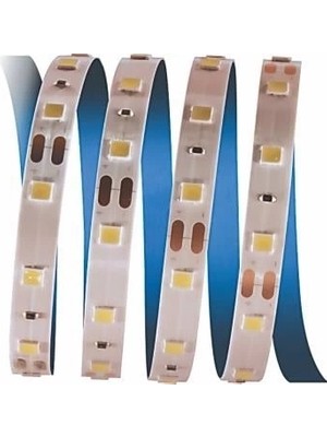 Fun And Market Buğz 5 Metre Cata Ct 4481 Iç Mekan 12V 10 Çipli Şerit LED 3200K Günışığı