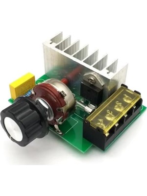 Die Grup 4000W Ac 220V Dimmer Regülatör
