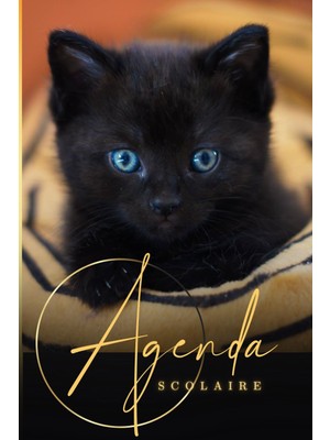 Belirtilmemiş Agenda Scolaire Chat: Organiseur Journalier | Une Page Par Jour | Collège Fille, Garçon, 6ème 5ème