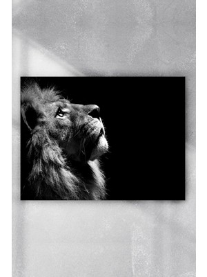 Belirtilmemiş Postermanya (PSTER2566) Aslan Motivasyon Poster 5 (90X130CM)