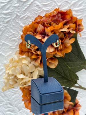 Livora Jewelry 925 Ayar Gümüş Altın Kaplama Zümrüt Taşlı Nazar Boncuklu Halka Kadın Küpe