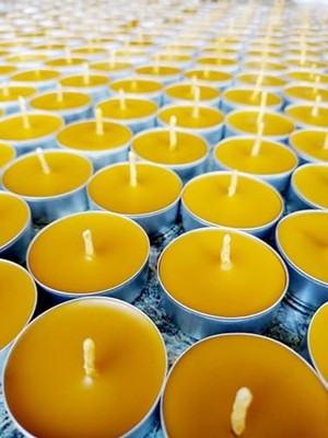Esranın Dünyası Petekoğlu (12 Adet) Tealight Doğal Petek Balmumu Mum Standart Boy Beeswax Candle          [enerji Sınıfı A+]