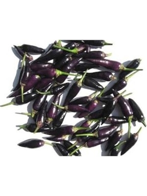 Esranın Dünyası 20 Adet Organik Purple Cayenne Biber Tohumu, Yüksek Verim Için Ideal Seçim