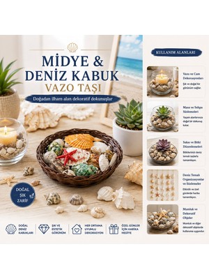 Go İthalat Yuvarlak Ahşap Sepet Renkli Mix Midye - Deniz Kabuk Vazo Taşı (784)