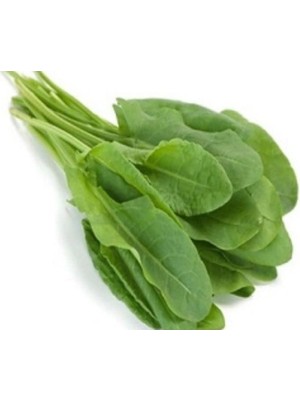 Esranın Dünyası Kuzu Kulağı Tohumu - 5 Gram