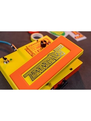 Esranın Dünyası Dayanıklı Whammy Pedalı - Mn Modeli