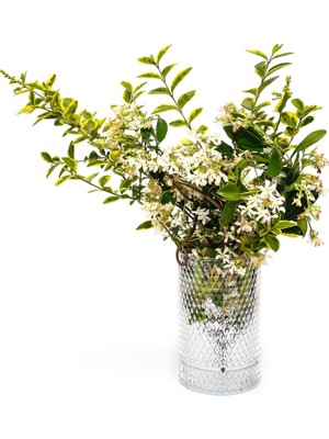 HBMB Store Diamond Cam Vazo/mumluk (17 Cm)
