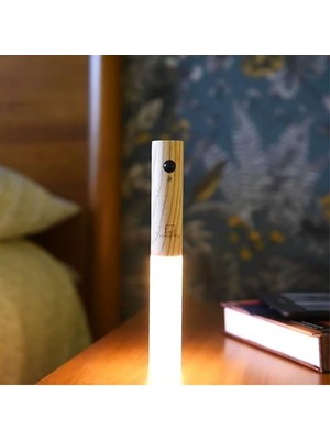 Larskas Günışığı LED Duvar Aplik, 3200K, Şarjlı Sensörlü