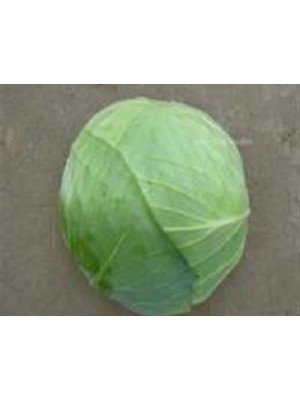 Larskas Beyaz Lahana Tohumu - Aksel 10 gr