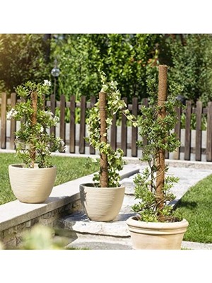 Larskas Doğal Hindistan Cevizi Lifinden Tırmanma Çubuğu - 60 cm