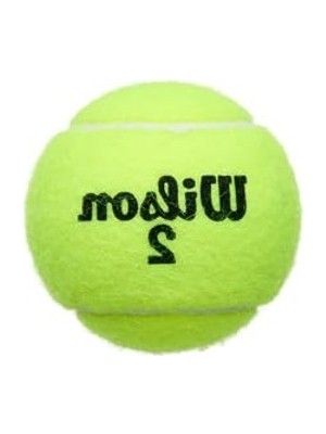 Larskas Tennis Balls - Champ Extra Duty