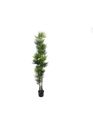 Mikasa Palmiye Yapay Ağaç 180cm