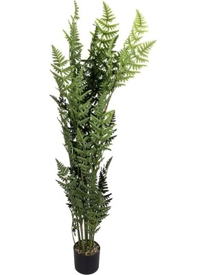 Mikasa Ferns Tree Yapay Ağaç 160cm