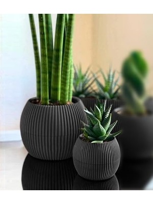 Larskas Mercan Yuvarlak Saksı Seti 0,15 Litre + 0,7 Litre, Iç Mekan - Dış Mekan 2li Ekonomik Gizli Su Hazneli Dekoratif Plastik Saksı Set Antrasit Renk