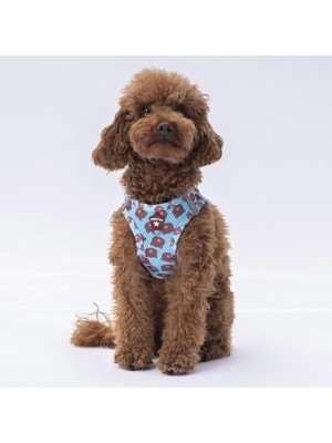 Larskas Air-Mesh Bears Köpek Göğüs Tasması (2xs)