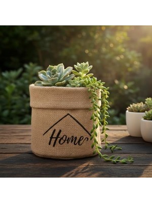 Larskas Deconox "home" Mini Jüt Saksı Kılıfı (Çap 14CM, Yükseklik 15CM) – Krem Renk Katlanabilir Kumaş Bitki Sepeti | Masaüstü Dekoratif Kalemlik, Makyaj Fırçalık, Küçük Eşya Düzenleyici