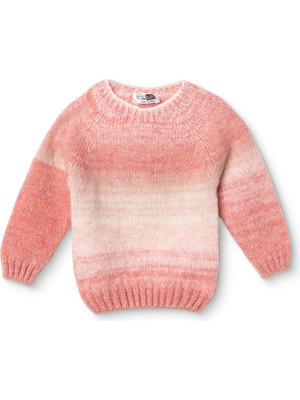Hellobaby Kız Bebek Kazak Bisiklet Yaka Long Sleeve