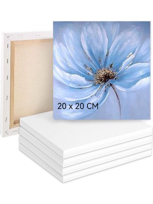 Erbo Boyama Için Tuval 5'li Set, Tuval 20 x 20 Cm, Tuval %100 Pamuk, Boyama Tuvali, Tuval Çerçevesi, Akrilik, Sulu Boya, Yağlı Boya Vb. Için Tuval Seti