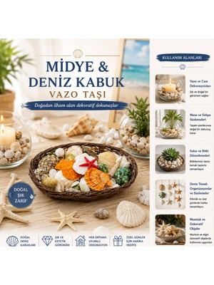 Enco Store Oval Ahşap Sepet Renkli Mix Midye - Deniz Kabuk Vazo Taşı