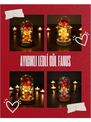 Cansa Ayıcıklı Ledli Gül Fanus