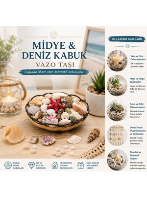 Go İthalat Ahşap Yuvarlak Sepet - Fileli Renkli Mix Midye - Deniz Kabuk Vazo Taşı (5263)