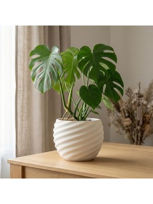 Larskas Comes Vona Serisi Beyaz Sarmal Dokulu Modern Dekoratif Saksı 20X15 cm (Beyaz)
