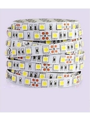 Larskas 4040 Smd LED Iç Mekan Beyaz Şerit, 1 Metre