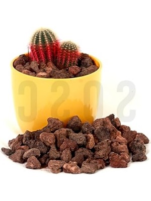 Larskas Doğal Volkanik Kırmızı Pomza Taşı 2-3 cm 5 Litrelik Paket