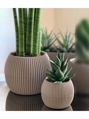 Larskas Mercan Yuvarlak Saksı Seti 0,35 Litre + 1,2 Litre, Iç Mekan - Dış Mekan 2li Ekonomik Tabaklı Plastik Saksı Set Kahve Renk