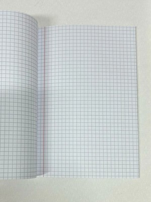 Mikasso Orta Boy Kareli Defter Sert Spiralli Kareli 100 Yaprak Büyük Boy Çok Renkli Not Defteri A4