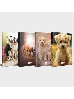 Mikasso Köpek Temalı Defter Seti 4'lü V3 Karton Düz Çizgili Orta Boy Bej Not Defteri A5