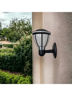 Esranın Dünyası Zita Kupa Bahçe Duvar Apliği 37 cm | E27 Duy | IP54 Dış Mekan Duvar Lambası | Uv Protection | Bahçe, Teras, Veranda ve Yürüyüş Yolu (Ampul Hariç)