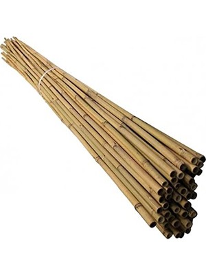 Esranın Dünyası 120 cm Doğal Bambu Bitki Destek Çubuğu 10 Adet 5-10 mm