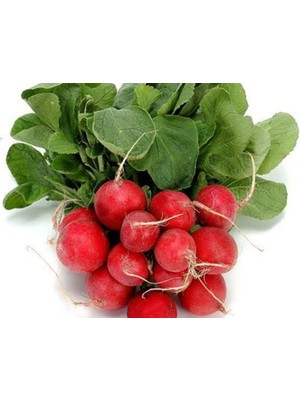 Esranın Dünyası Doğal Cherry Turp Tohumu