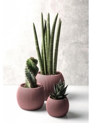 Esranın Dünyası Krs Mercan Dekoratif Kaktüs Sukulent Plastik Saksı Takımı 3'lü Set Soft Pembe