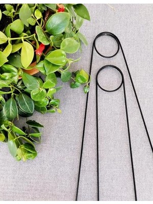 Esranın Dünyası 2 Adet Bitki Destek Çubuğu – Siyah Metal Kancalıiğne Model, 65 Cm, Sarmaşık ve Büyük Yapraklı Bitkiler Için