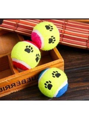 Get Store Eğlenceli Köpek Eğitim Topu - 6,5 cm