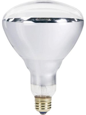 Ledvance 250W Infrared Şeffaf Ampul E27
