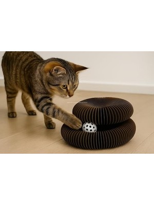 Aesco Katlanabilir Kedi Oyuncağı - Zeka Geliştirici Tırmalama Yüzeyi