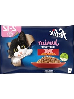 Aesco Yavru Kedi Beslenme Seti (12 Paket x 4 = 85GR)