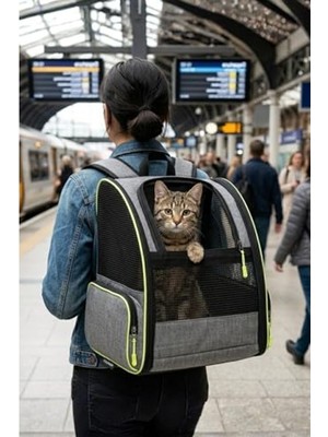 Aesco Gri Renkli Piramit Model Yıkanabilir Kedi ve Köpek Taşıma Çantası